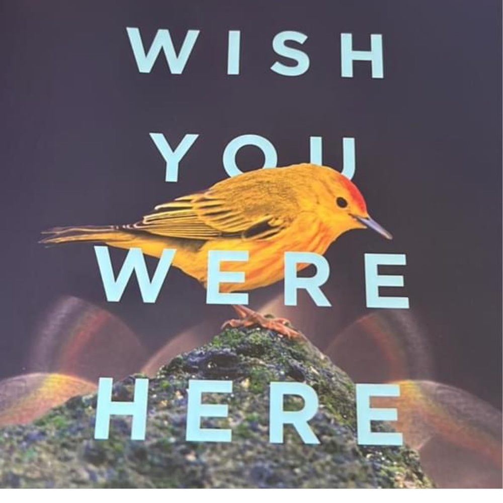 Meet your Posher, Marisol